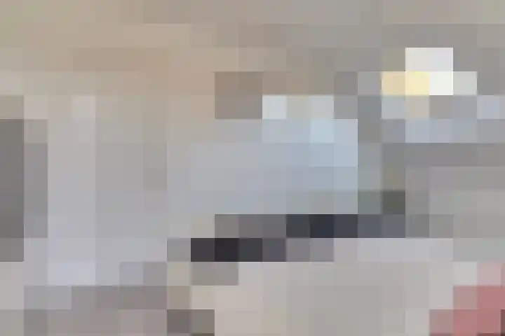 Kruisstraat 1 1 Dieren thumbnail 22