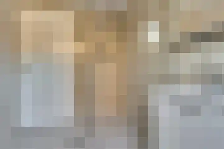 Kruisstraat 1 1 Dieren thumbnail 24