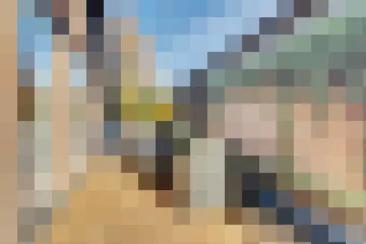 Kruisstraat 1 1 Dieren thumbnail 27