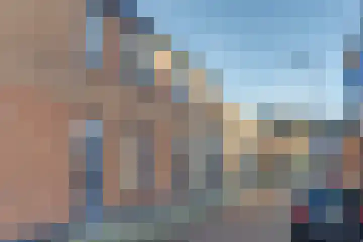 Kruisstraat 1 1 Dieren thumbnail 28