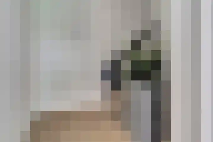 Kruisstraat 1 1 Dieren thumbnail 4