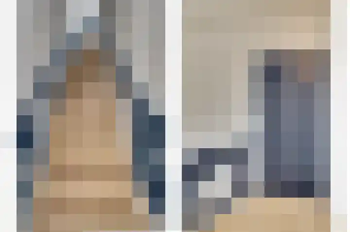 Kruisstraat 1 1 Dieren thumbnail 5