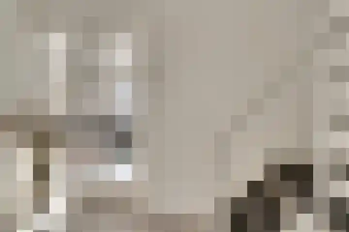 Kruisstraat 1 1 Dieren thumbnail 6