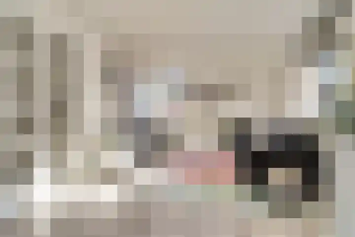 Kruisstraat 1 1 Dieren thumbnail 7