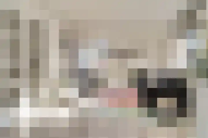 Kruisstraat 1 1 Dieren thumbnail 8