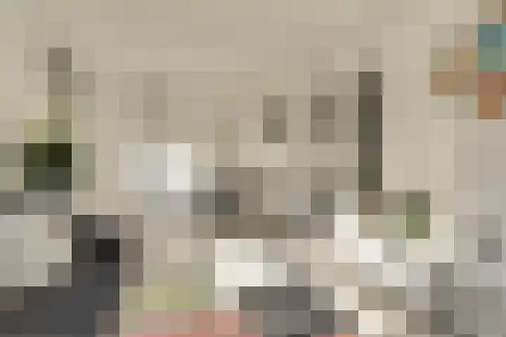 Kruisstraat 1 1 Dieren thumbnail 9