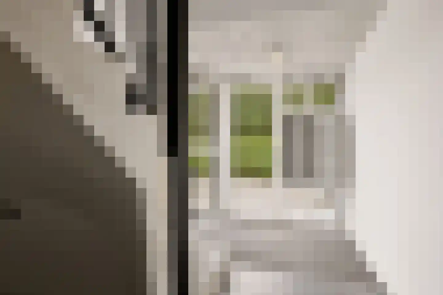 Kruisstraat 1 B Eijsden thumbnail 6