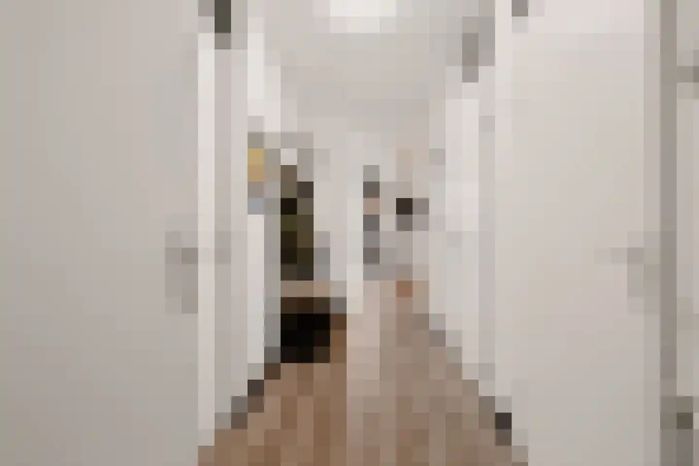 Kruisstraat 1 B Eijsden thumbnail 9
