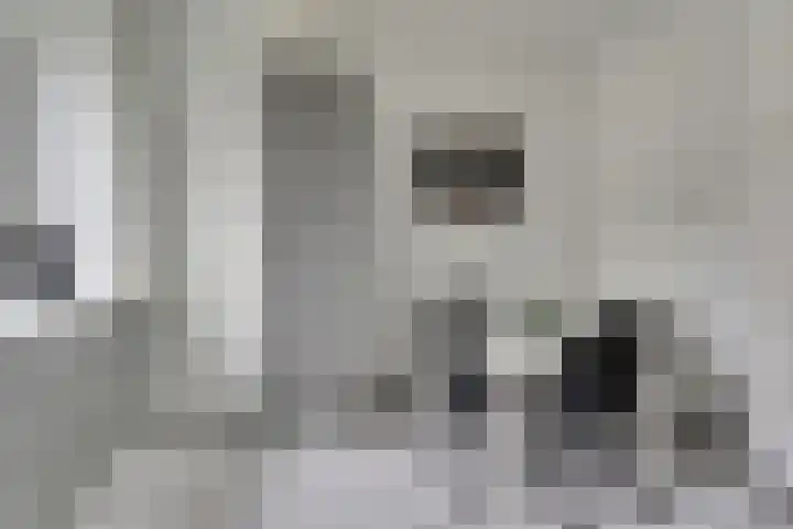 Kruisstraat 1 Dieren thumbnail 14