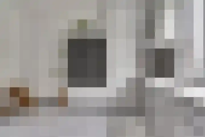 Kruisstraat 1 Dieren thumbnail 16