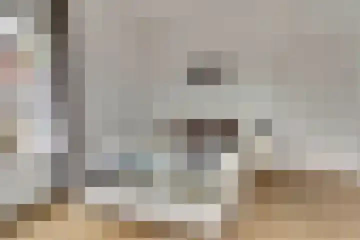 Kruisstraat 1 Dieren thumbnail 17