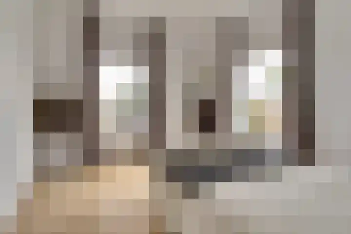 Kruisstraat 1 Dieren thumbnail 18