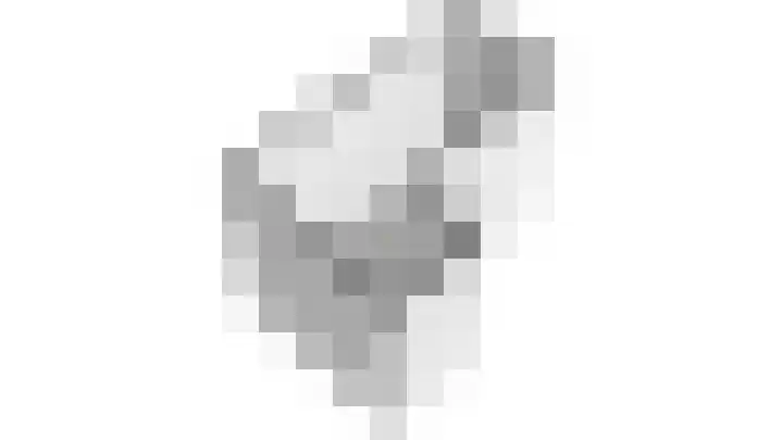 Kruisstraat 1 Dieren thumbnail 30