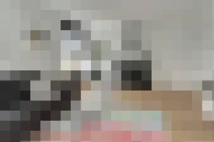 Kruisstraat 1 Dieren thumbnail 9
