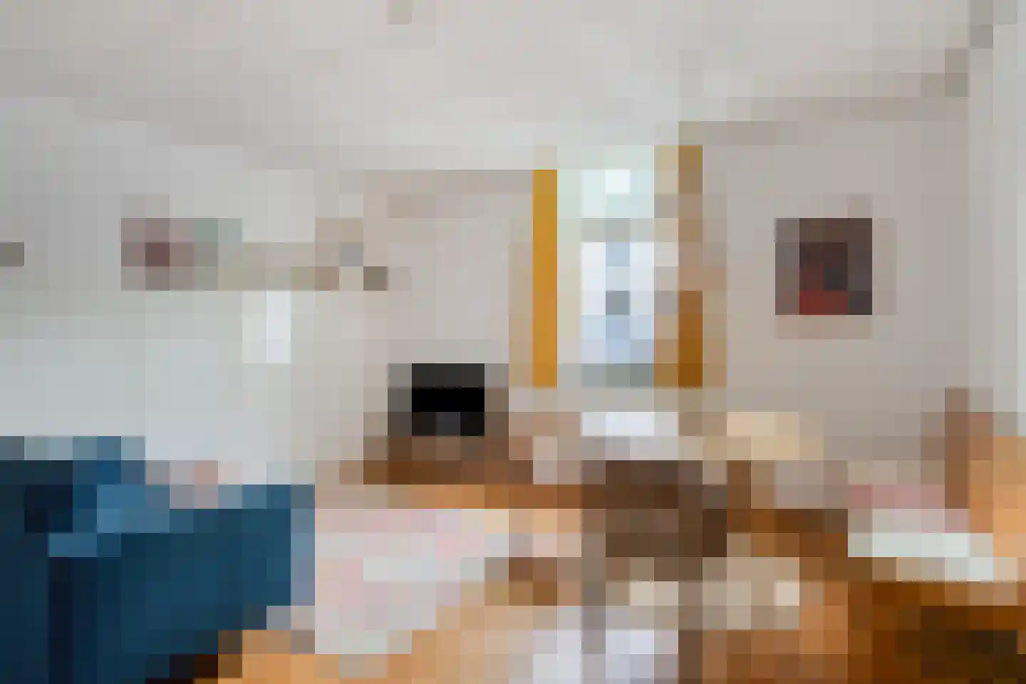 Kruisstraat 1 Meerssen thumbnail 11