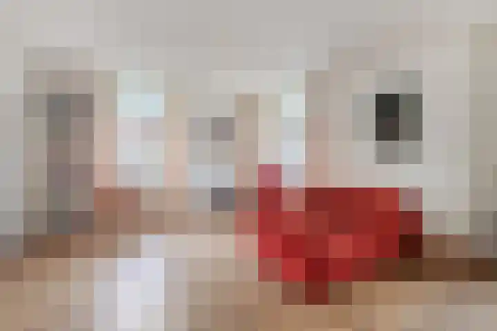 Kruisstraat 1 Meerssen thumbnail 23