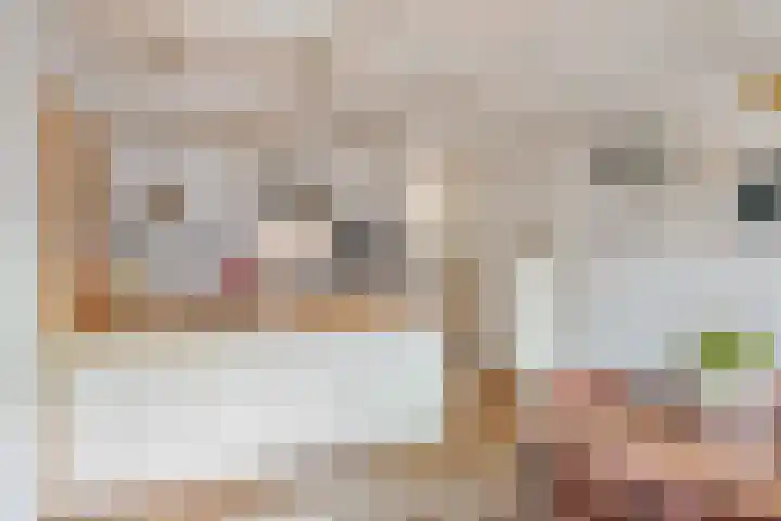 Kruisstraat 1 Meerssen thumbnail 24