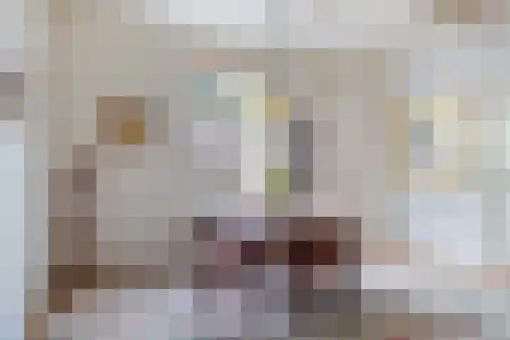 Kruisstraat 1 Meerssen thumbnail 25