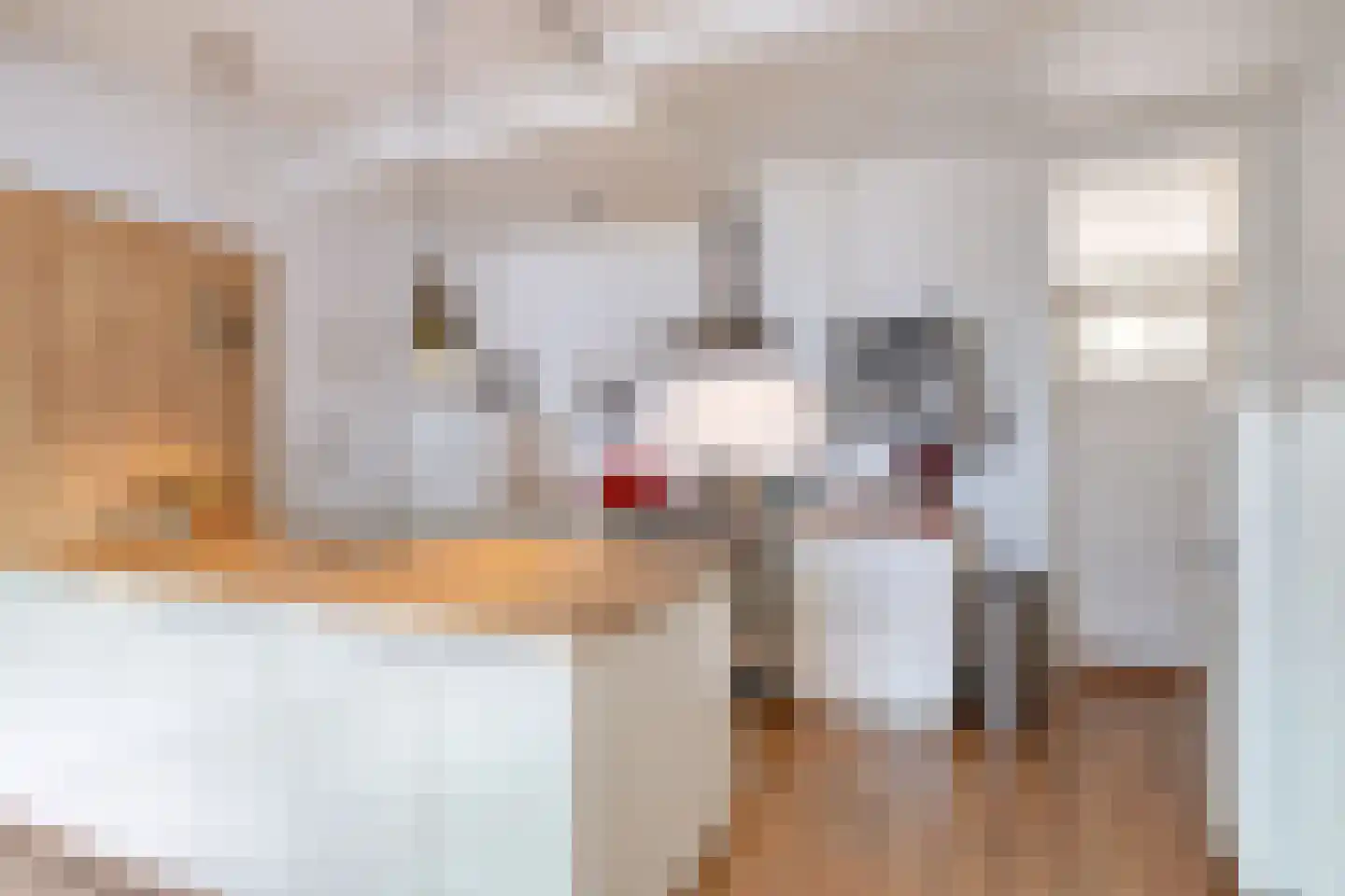 Kruisstraat 1 Meerssen thumbnail 26