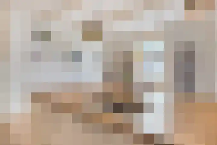 Kruisstraat 1 Meerssen thumbnail 28