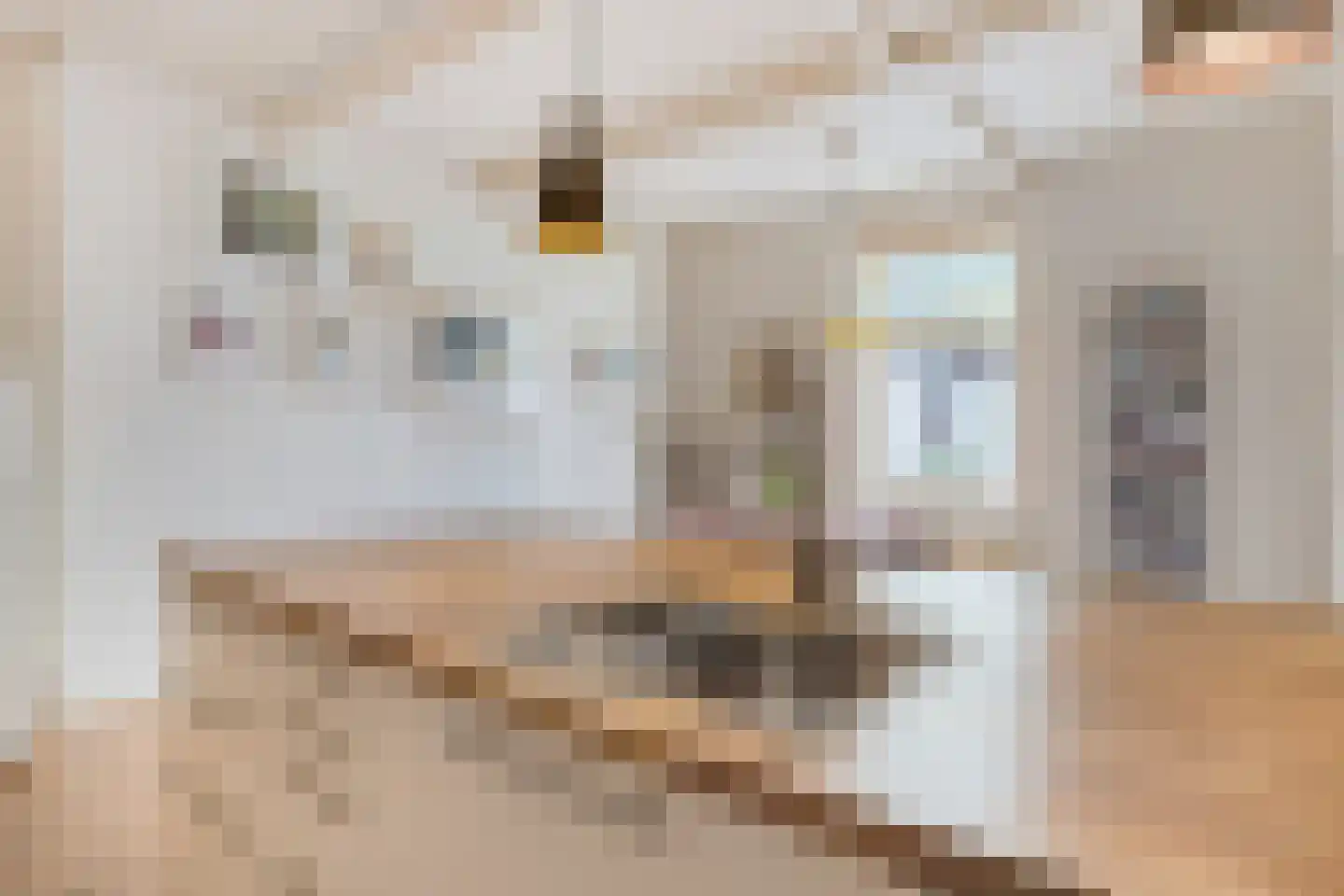 Kruisstraat 1 Meerssen thumbnail 28