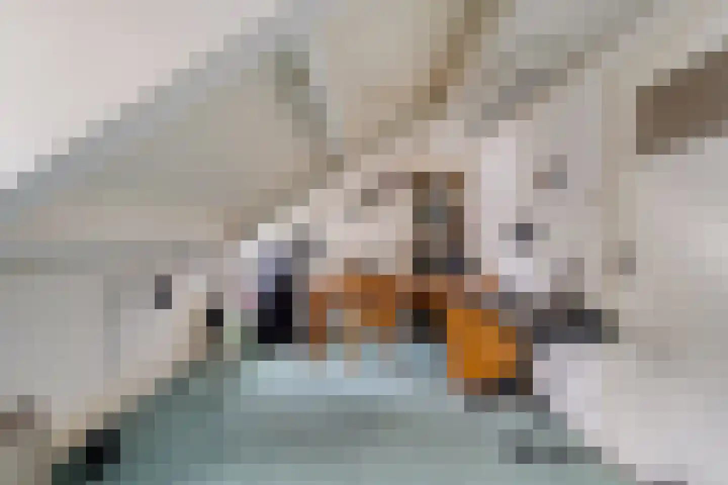 Kruisstraat 1 Meerssen thumbnail 40