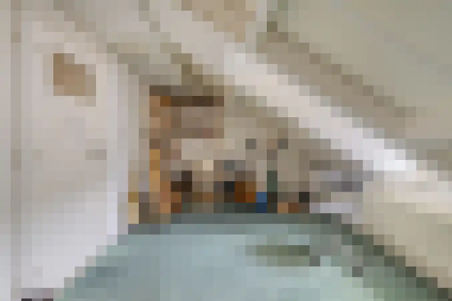 Kruisstraat 1 Meerssen thumbnail 41