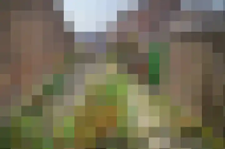 Kruisstraat 1 Meerssen thumbnail 47