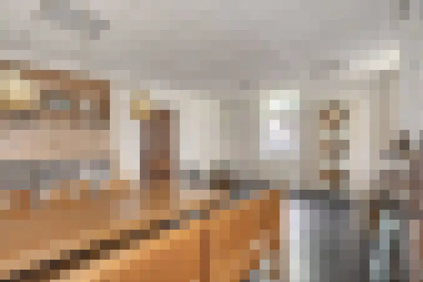 Kruisstraat 1 Meerssen thumbnail 9
