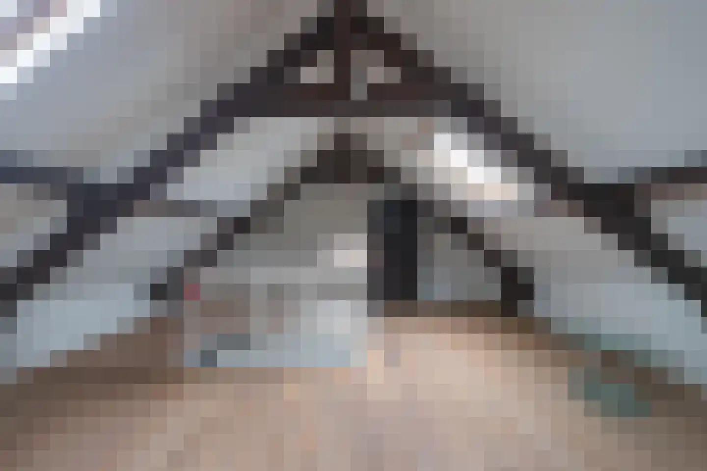 Kruisstraat 1 Stein thumbnail 16