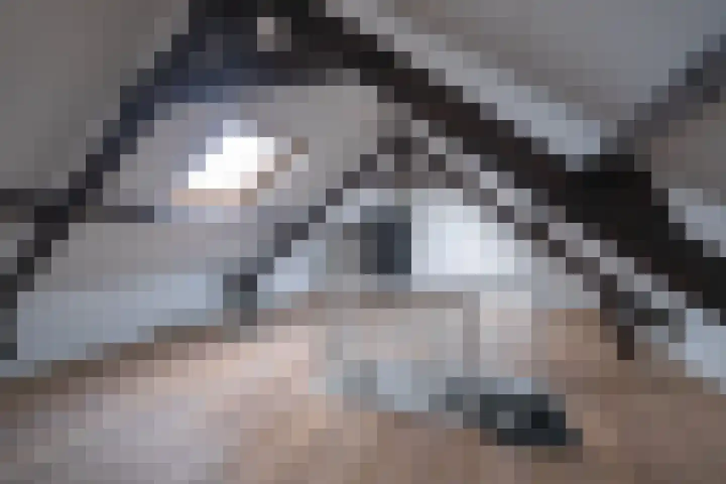 Kruisstraat 1 Stein thumbnail 17