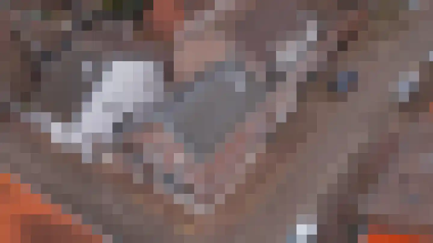 Kruisstraat 1 Stein thumbnail 23