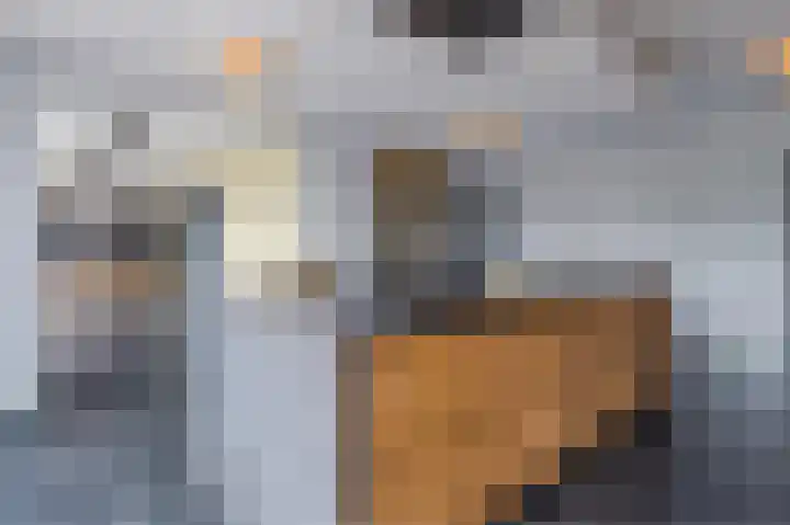 Kruisstraat 1 Tiel thumbnail 24