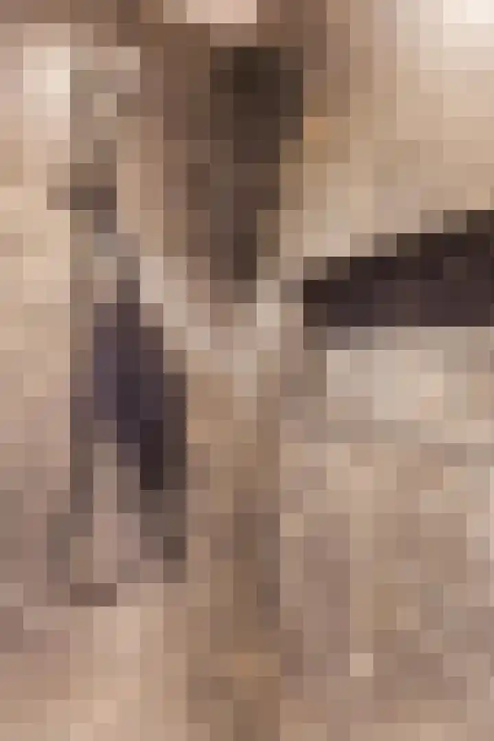 Kruisstraat 1 Tiel thumbnail 54