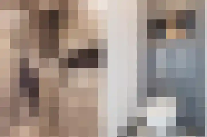 Kruisstraat 1 Tiel thumbnail 56