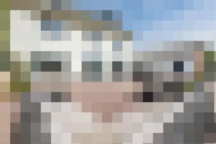 Kruisstraat 1 Tiel thumbnail 68
