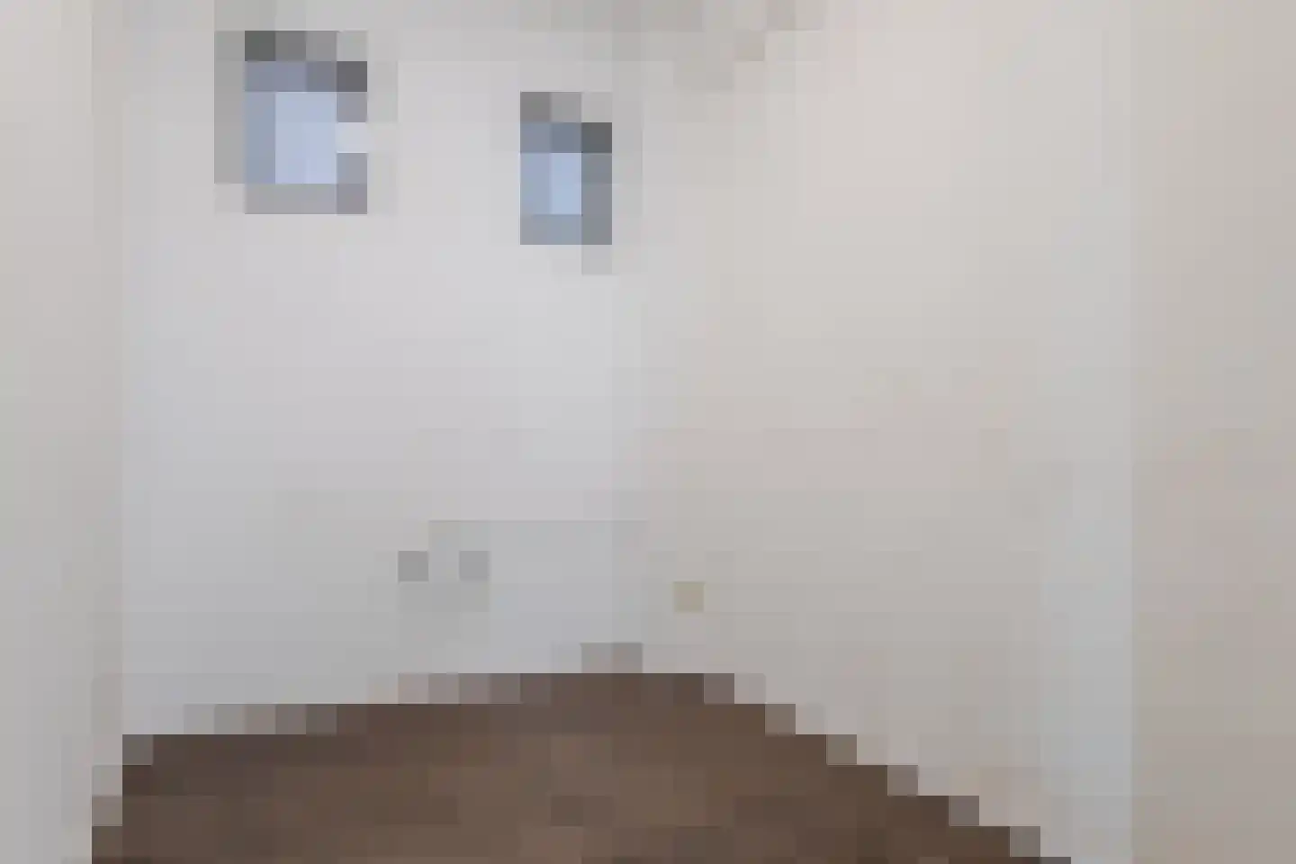 Kruisstraat 1 Zutphen thumbnail 12