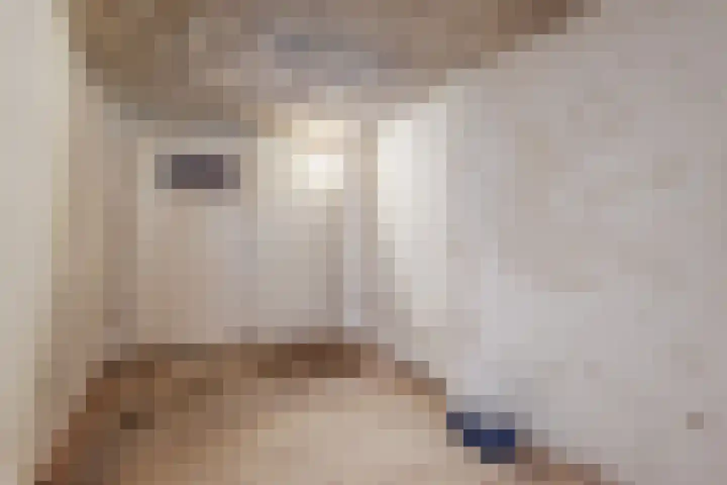 Kruisstraat 1 Zutphen thumbnail 54