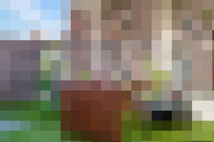 Kruisstraat 10 's-Hertogenbosch thumbnail 10
