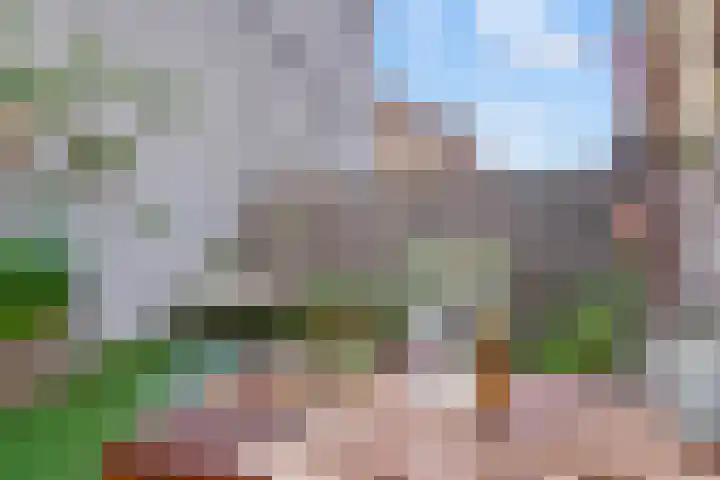 Kruisstraat 10 's-Hertogenbosch thumbnail 11