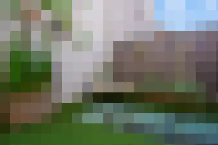 Kruisstraat 10 's-Hertogenbosch thumbnail 8