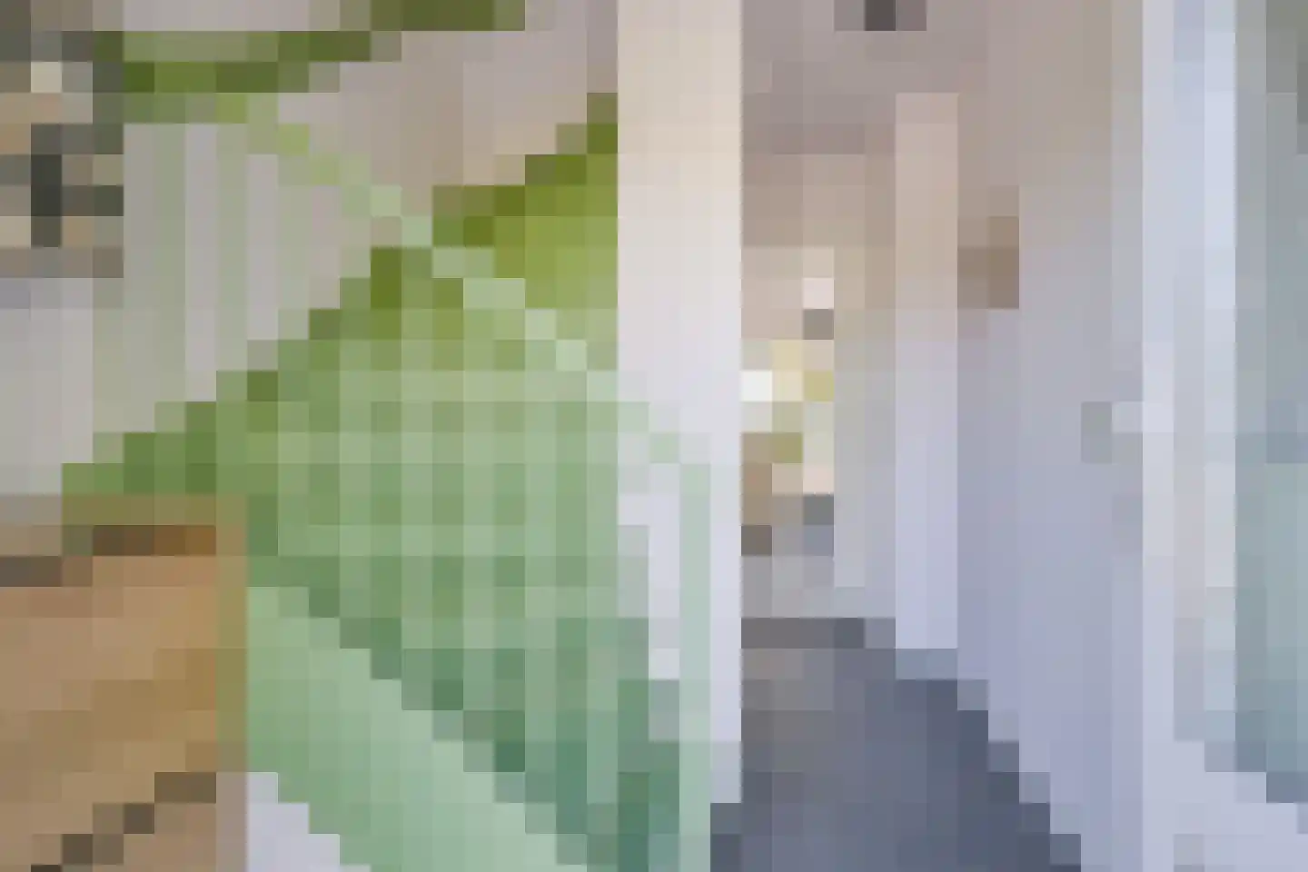 Kruisstraat 10 Slootdorp thumbnail 6