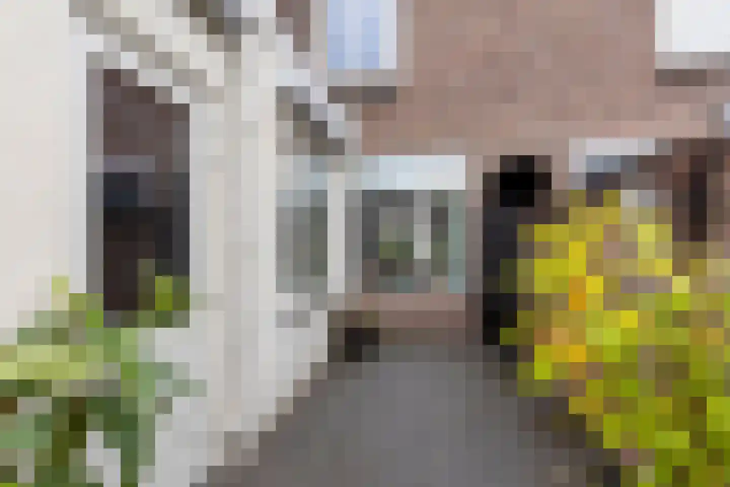 Kruisstraat 105 A Veldhoven thumbnail 24
