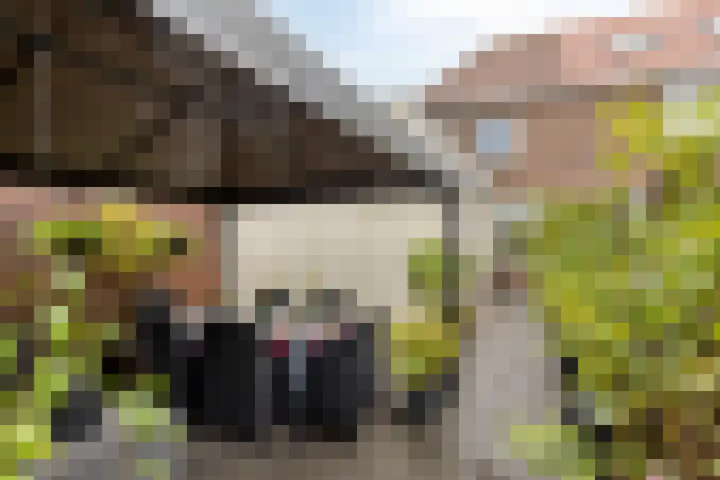 Kruisstraat 105 A Veldhoven thumbnail 28