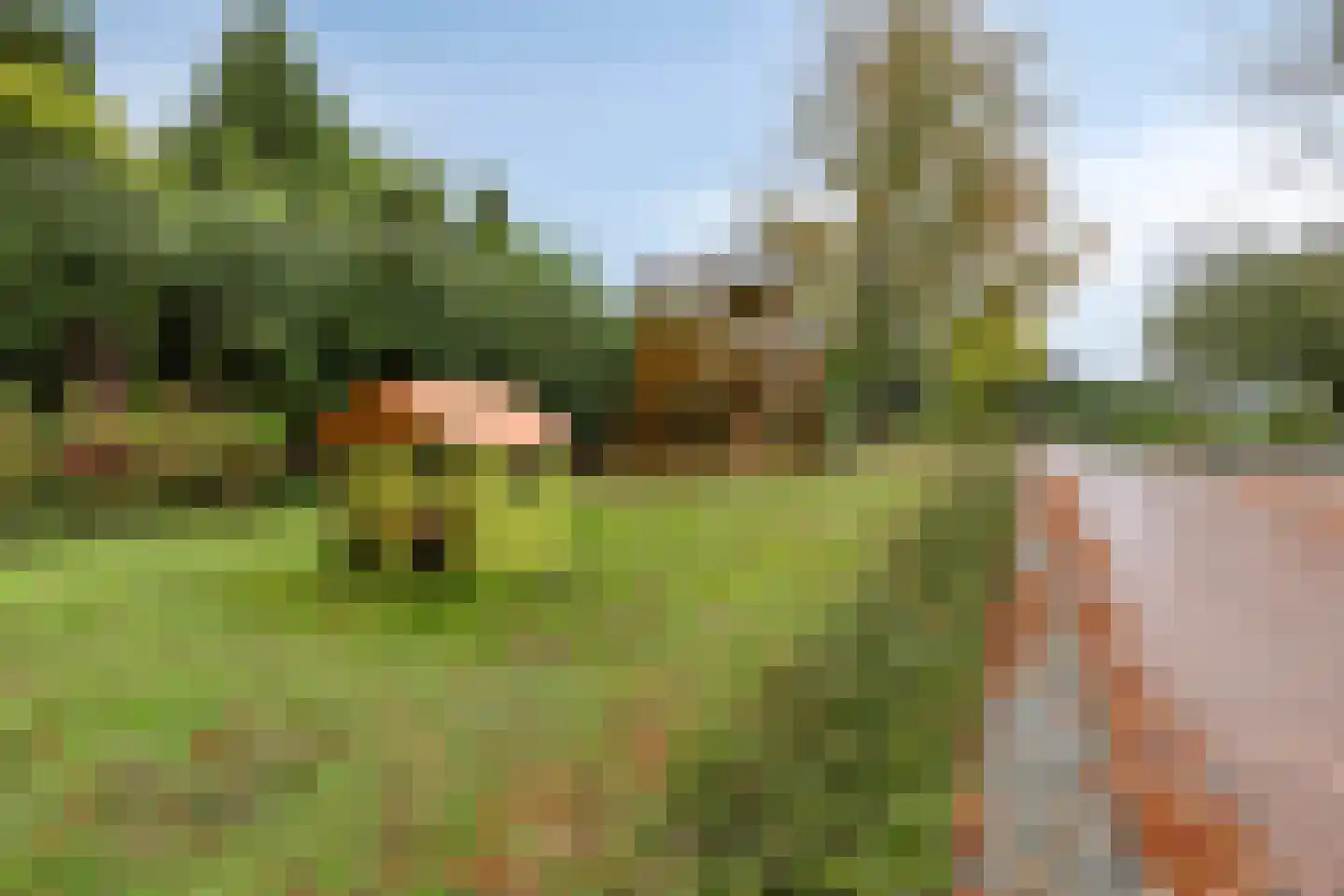 Kruisstraat 105 A Veldhoven thumbnail 29