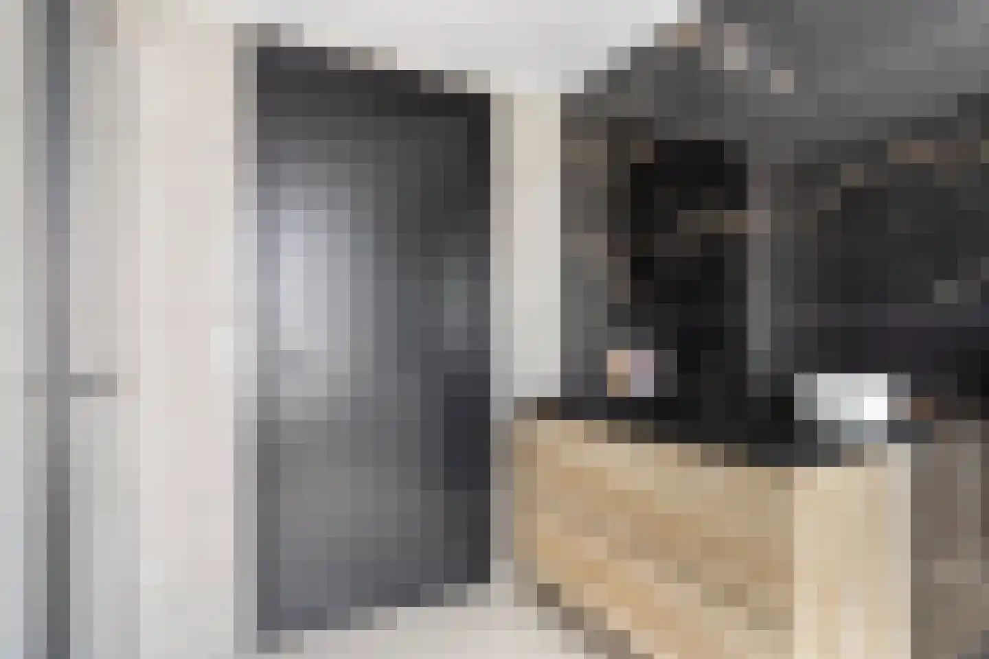 Kruisstraat 106 A Oss thumbnail 23
