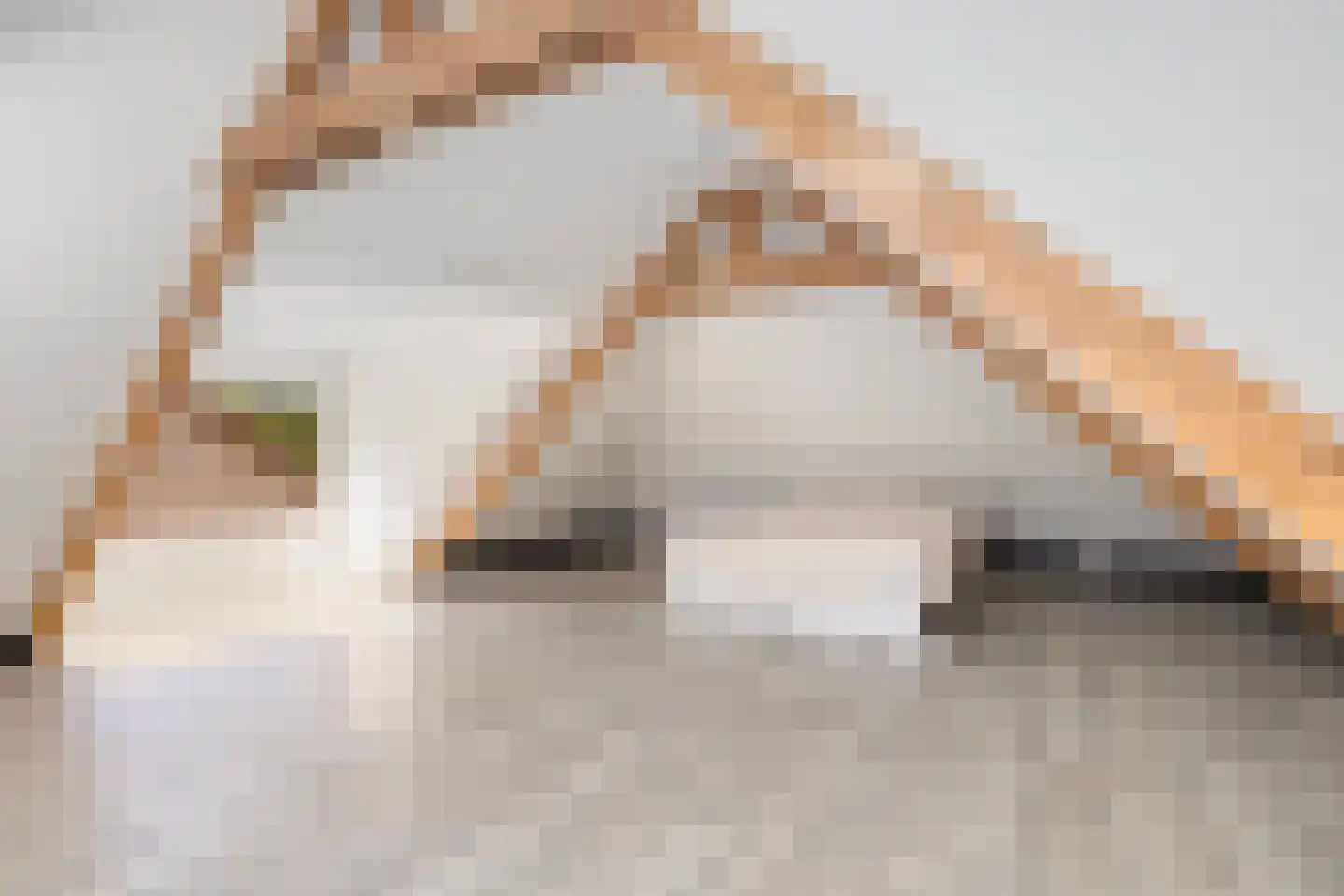 Kruisstraat 106 A Oss thumbnail 25