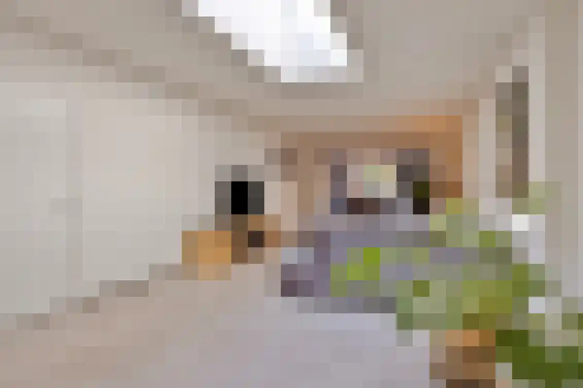 Kruisstraat 106 Oss thumbnail 13