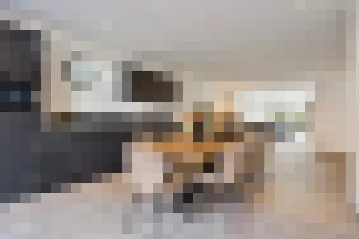 Kruisstraat 106 Oss thumbnail 21