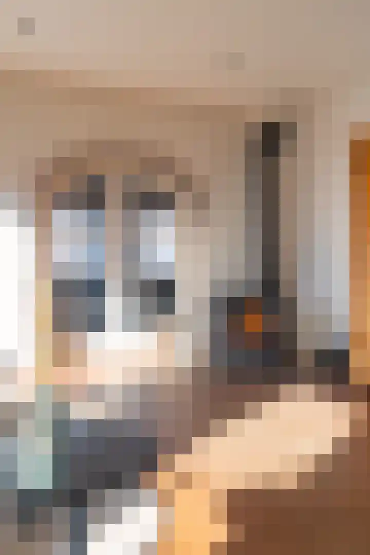Kruisstraat 106 Stein thumbnail 8